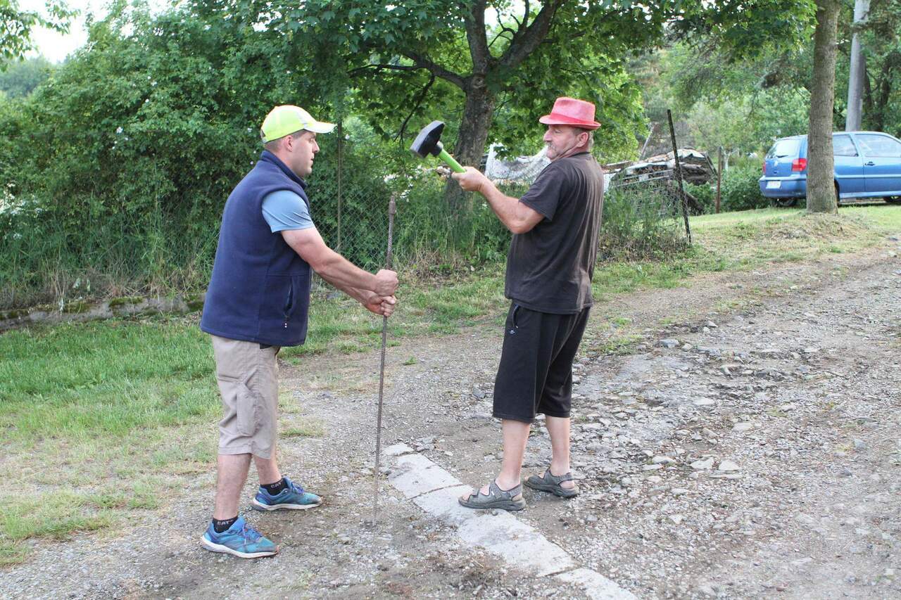 Obrázek v galerii