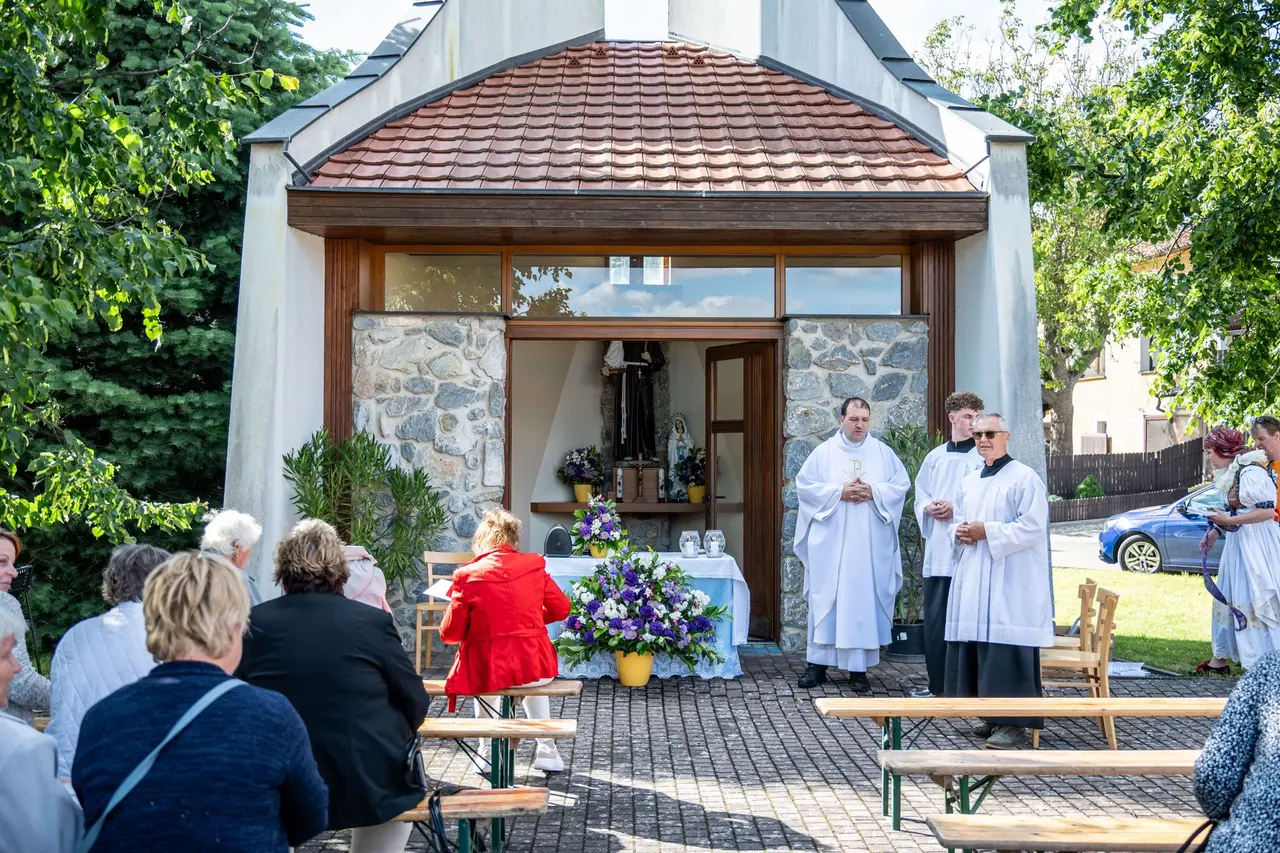 Obrázek v galerii
