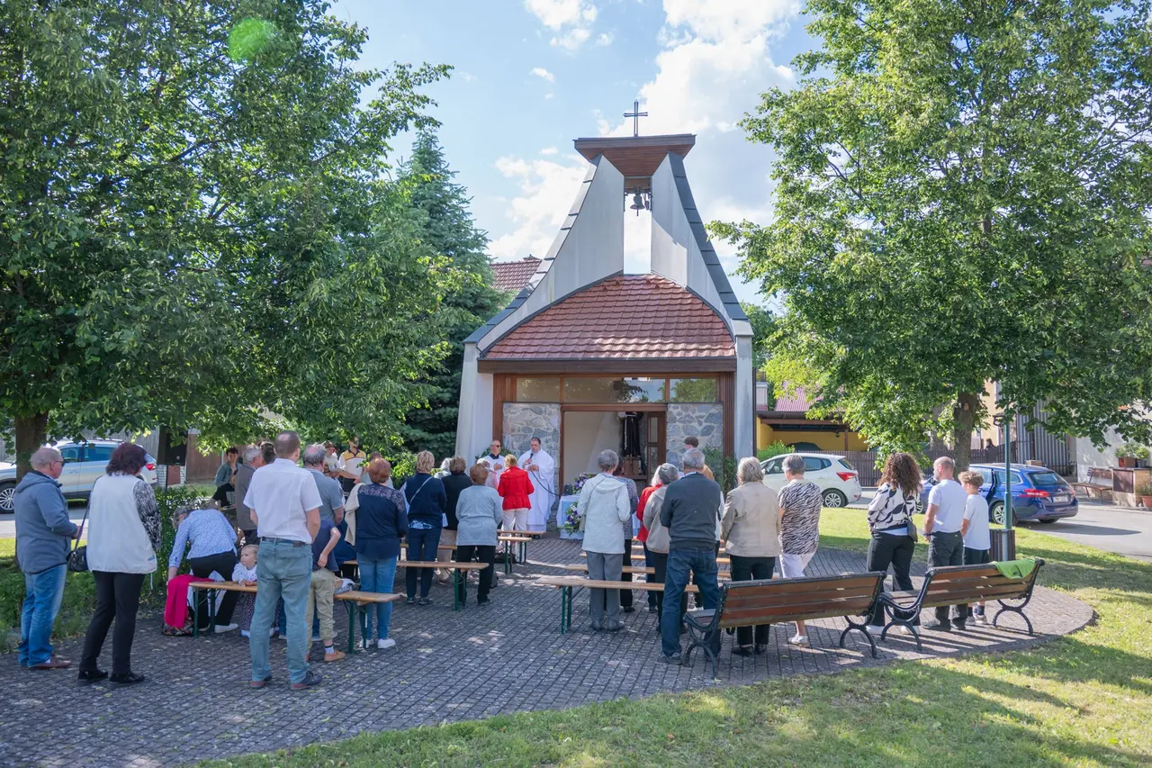 Obrázek v galerii