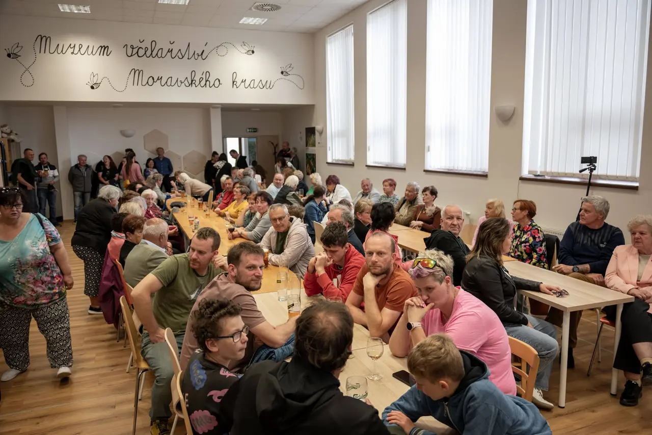 Obrázek v galerii